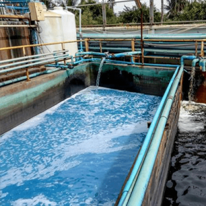 聚合氯化铝厂家处理水性油漆废水成功案例