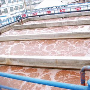 屠宰厂污水处理工艺流程和污水处理方法